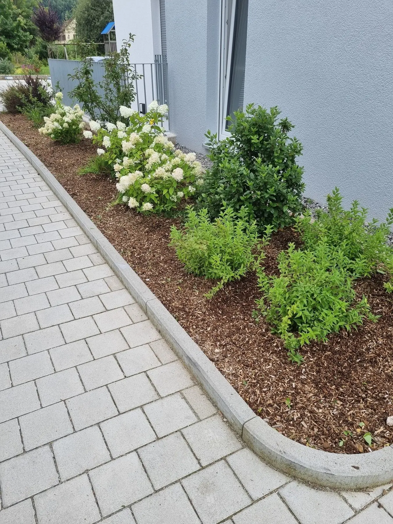 Gartenreinigungsarbeiten von Locher - Hausmeisterservice